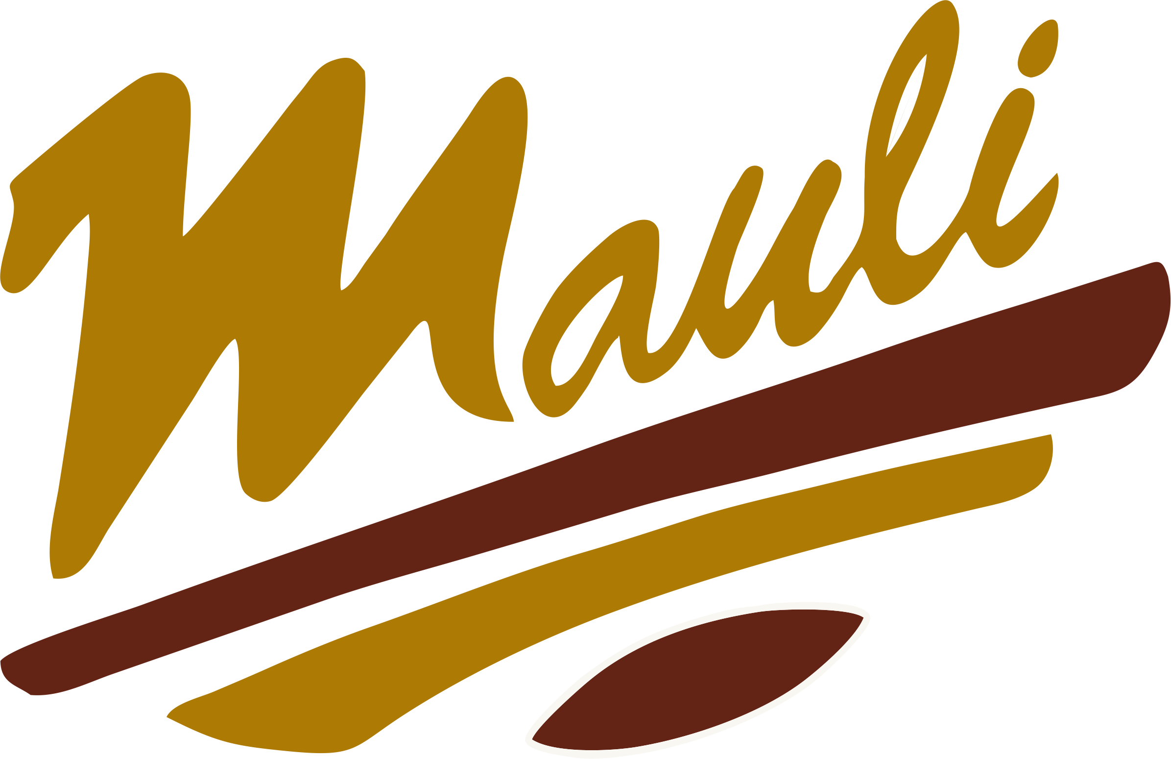Mauli Enterprises – Khalid Bagwan